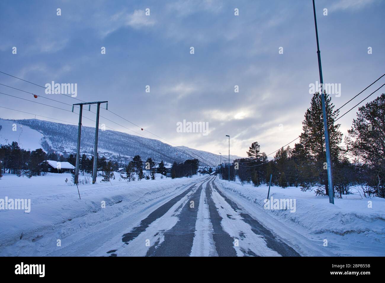 Chiens de traîneau à neige à Geilo en Norvège Banque D'Images