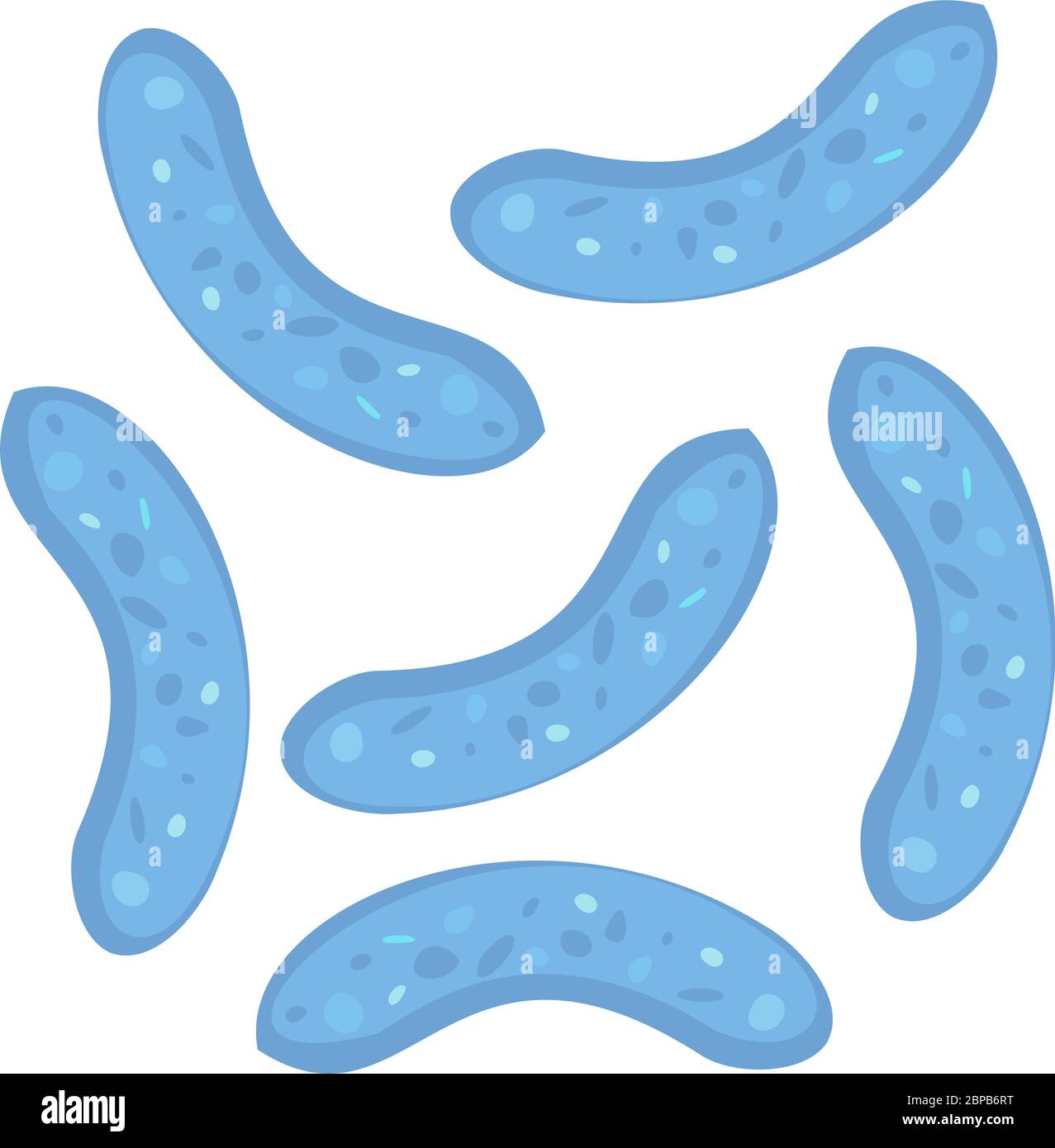 Bifidobacterium, symbole Lactobacillus bifidus. Peut être utilisé pour la bannière en toile de yaourt. Médecine, microbiologie, fermentation concept. Vecteur de brut Illustration de Vecteur