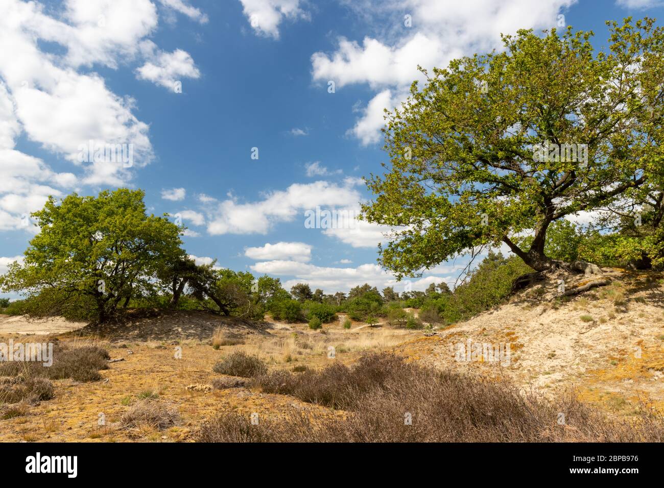 Photo grand angle de paysage de dunes de sable intérieures avec ciel bleu ciel nuageux Banque D'Images