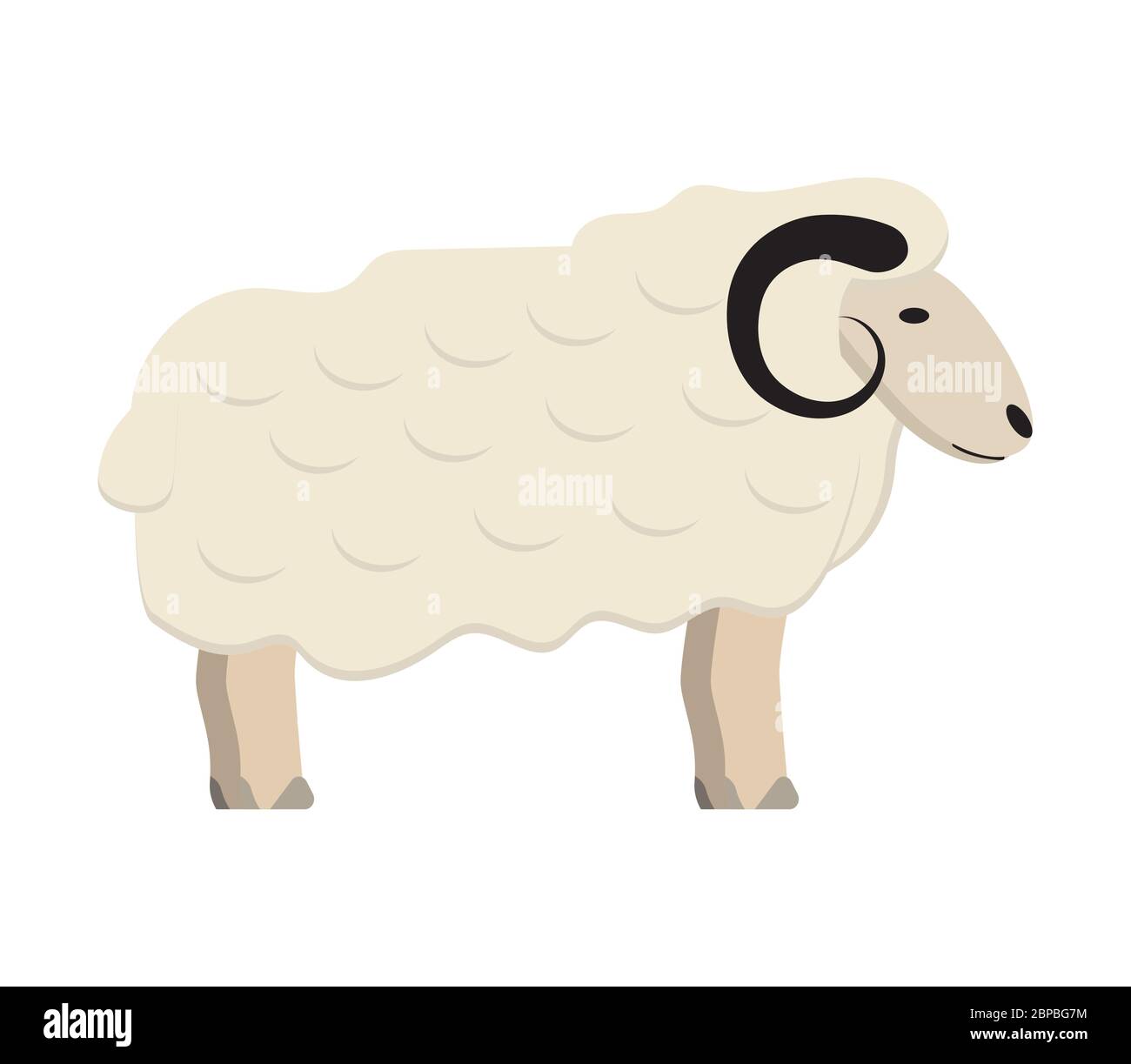 Vecteur de concept d'icône RAM. Mouton isolé sur fond blanc. Illustration d'animal de ferme, élevage. Symbole EID al fitr, Eid al adha Illustration de Vecteur