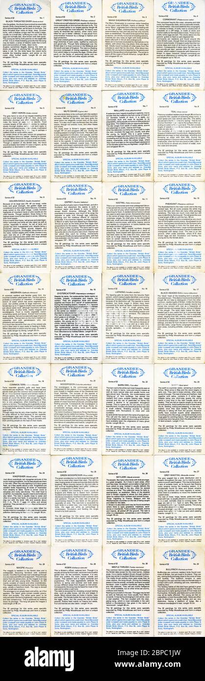 Cartes « British Birds Collection » (28 des jeux de 32 et 1980, voir les informations supplémentaires), émises par les cigares grandee, John Player & Sons (Imperial Tobacco) Banque D'Images