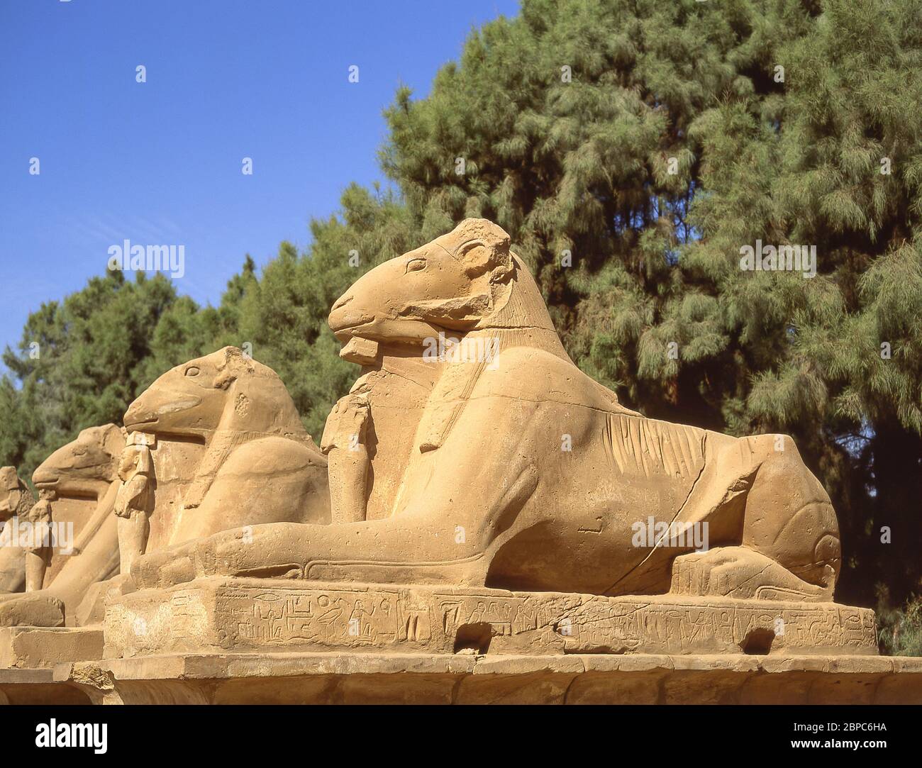 Rangée de statues de shinx à tête de bélier au temple de Karnak, El-Karnak, gouvernorat de Karnak, République d'Égypte Banque D'Images