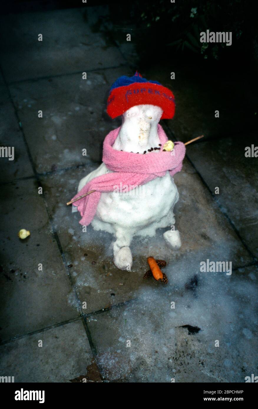 Bonhomme de neige avec chapeau, écharpe et carotte Banque D'Images