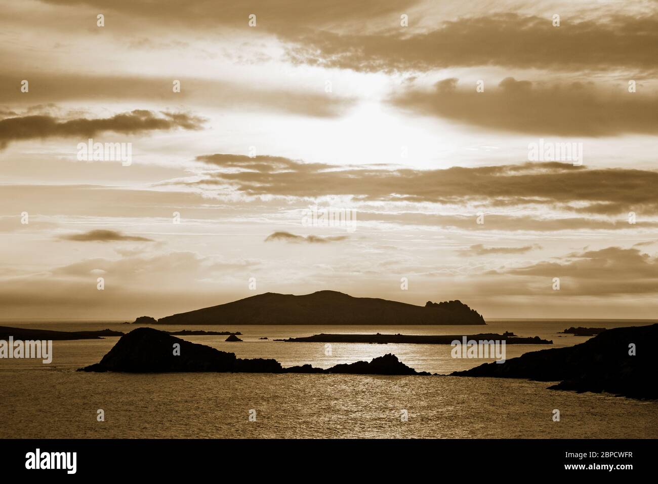 Blasket Islands, Slea Head, Dingle Peninsula, Comté de Kerry, Irlande Banque D'Images