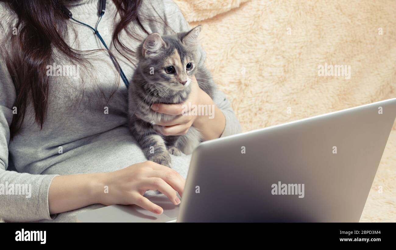 Fille travaillant sur un ordinateur portable à la maison sur le canapé avec son chaton. Freelance et mise en quarantaine à distance. Banque D'Images