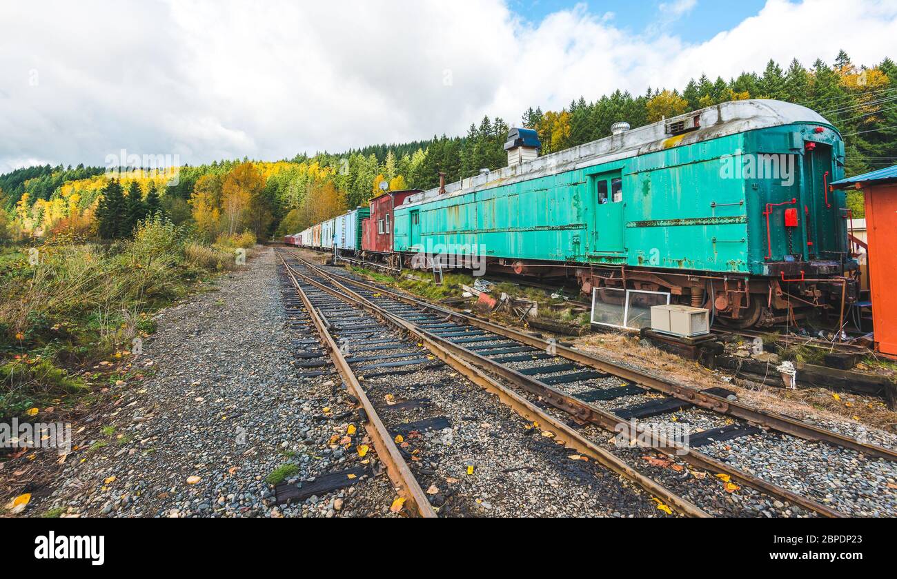 Chemin de fer et train coloré en automne, mt Rainier National Park Area, Elbe, Washington, USA. Banque D'Images