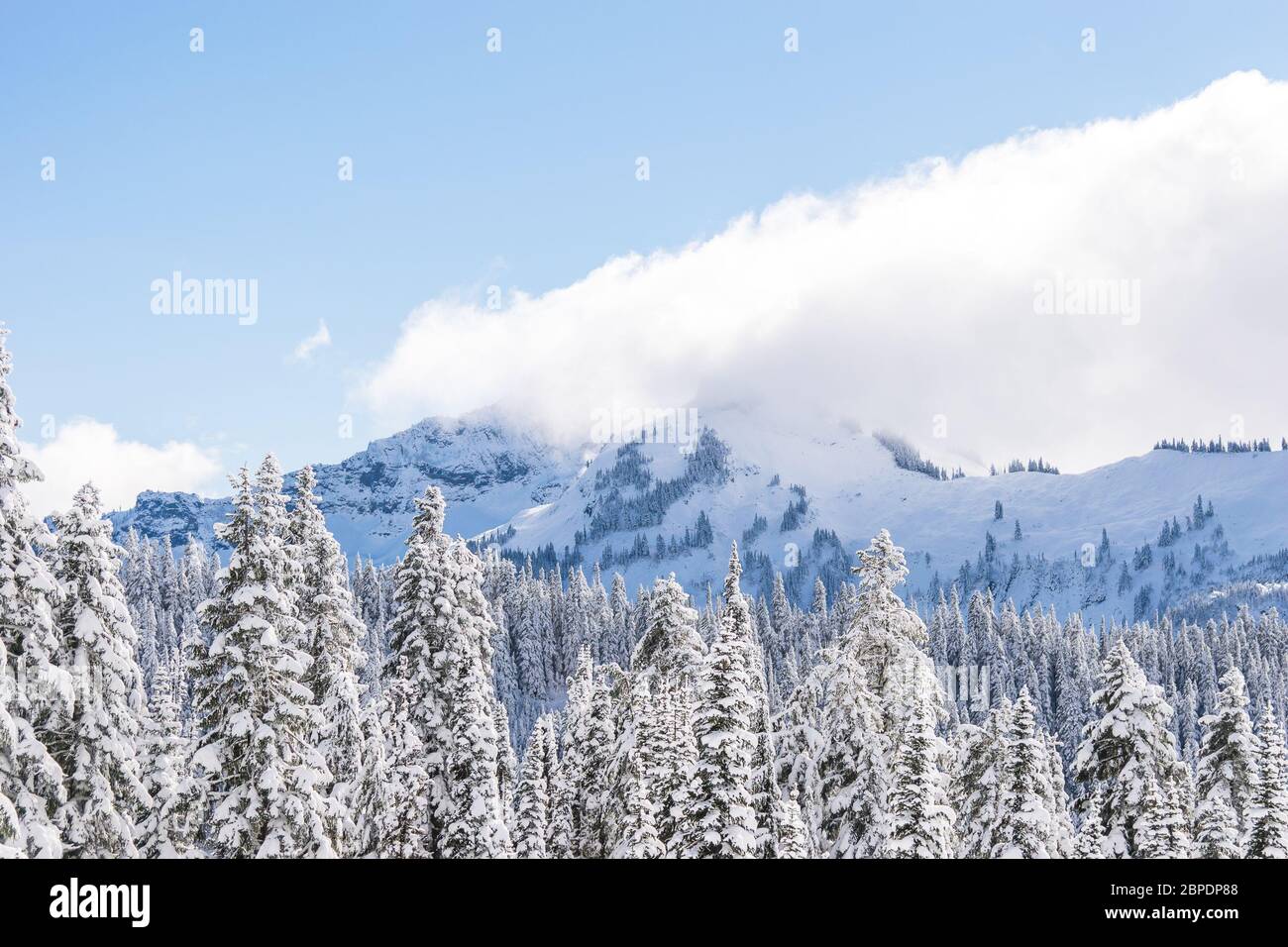 Vue panoramique sur le sommet de la montagne enneigée le matin dans le parc national de mt Rainier, Washington, USA... Banque D'Images