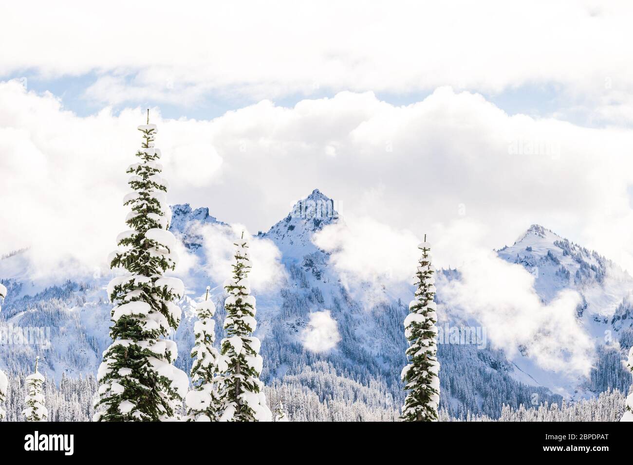 Vue panoramique sur le sommet de la montagne enneigée le matin dans le parc national de mt Rainier, Washington, USA... Banque D'Images