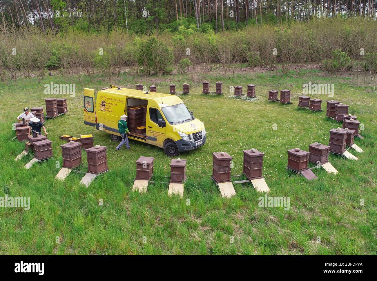 Briesen, Allemagne. 18 mai 2020. Dans le cercle se trouvent des ruches (boîtes à abeilles, où les nids d'abeilles sont suspendus) de l'apiculture Bernd Janthur et Martin Müller GbR sur une prairie dans le district d'Oder-Spree (photo aérienne avec un drone). Le 20 mai est la Journée mondiale des abeilles des Nations Unies, et la communauté internationale souligne donc l'urgence de la protection des abeilles. L'importance des abeilles comme pollinisateurs de la biodiversité et de la sécurité alimentaire est essentielle pour l'humanité. Une colonie d'abeilles est constituée d'une reine, de plusieurs centaines de drones et de 30,000 à 60,000 abeilles ouvrières - en été jusqu'en 120,000. Credit: Patrick Pleul/dpa-Zentralbild/ZB/dpa/Alay Live News Banque D'Images