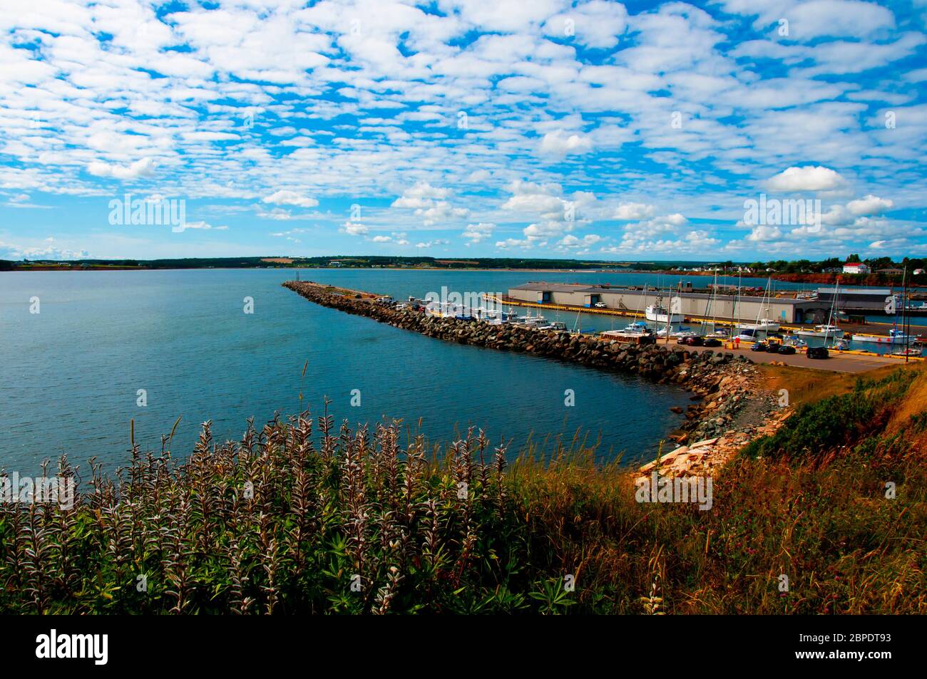 Port de souris - Î.-P.-É. - Canada Banque D'Images