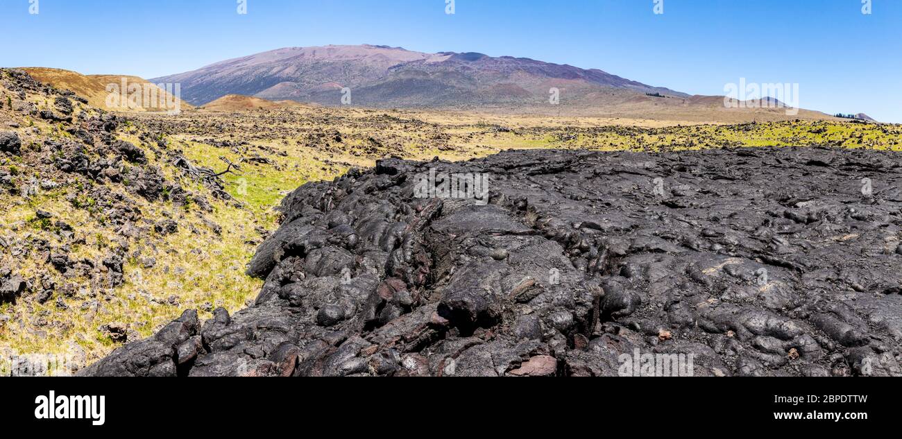 Mauna Kea et de la lave ancienne coule de Saddle Road route 200 sur Hawaii, la Big Island, Etats-Unis. Banque D'Images