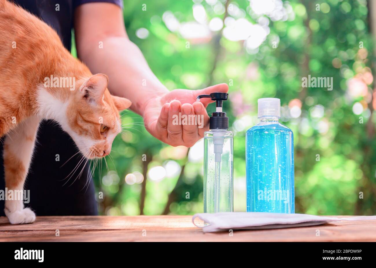 Gel antiseptique pour les mains avec alcool. Se laver les mains pour se protéger contre le virus Corona et arrêter la propagation de COVID-19. Nouveau normal et vie après verrouillage a Banque D'Images