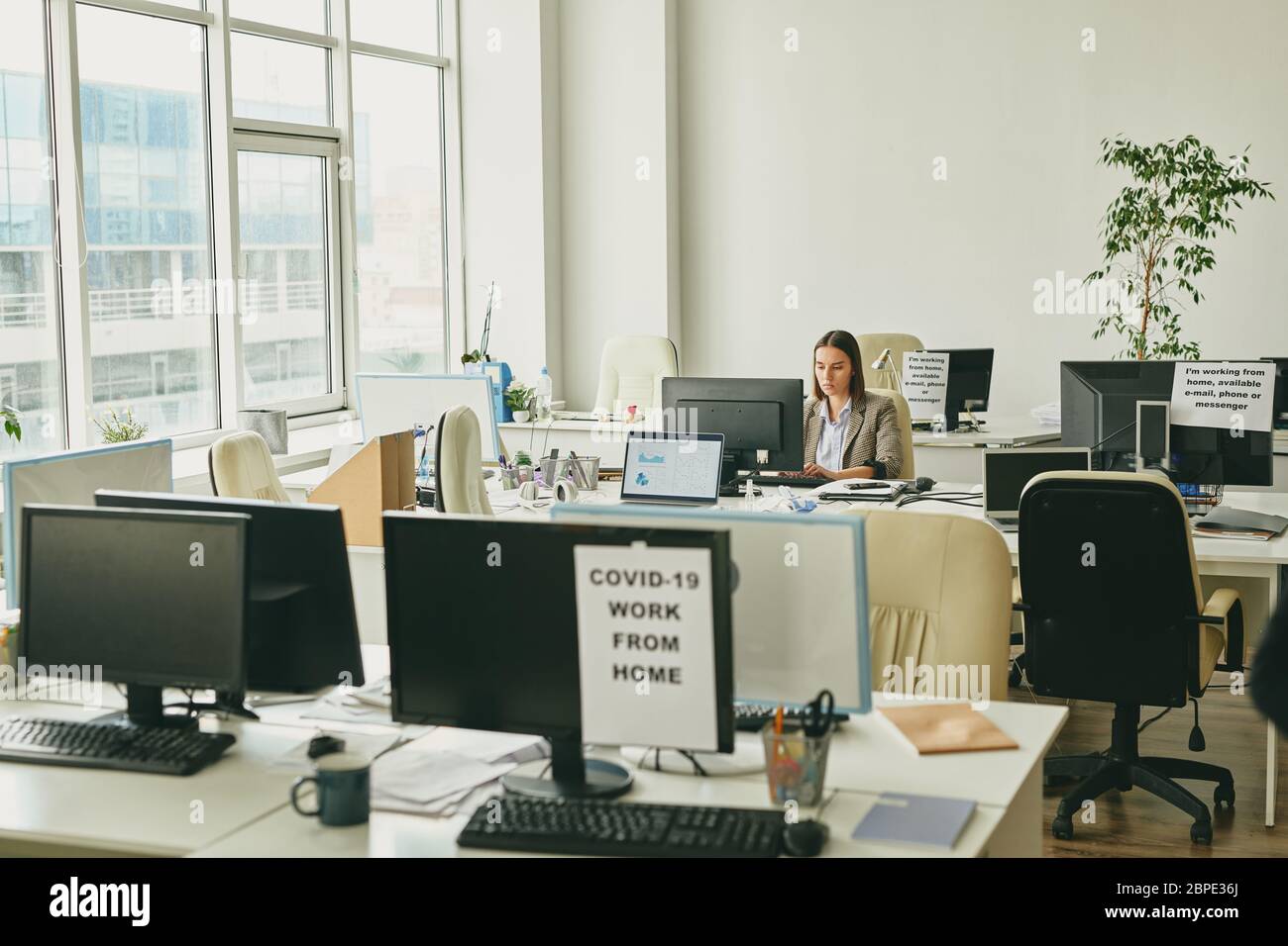 Une femme sérieuse assise dans un bureau vide pendant la quarantaine du coronavirus et préparant un rapport sur ordinateur Banque D'Images