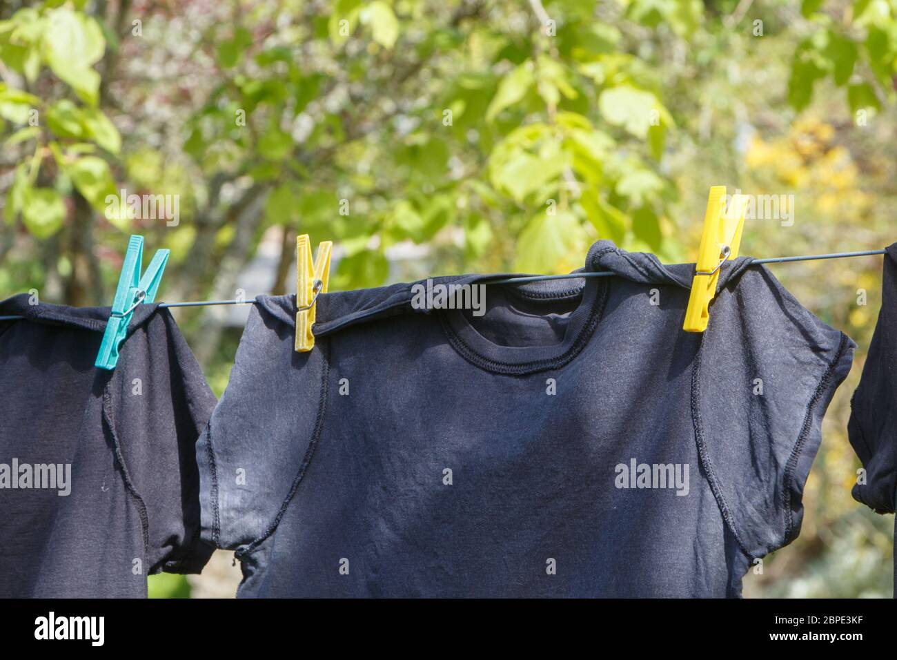 Ligne de lavage avec séchage des vêtements dans un jardin Banque D'Images