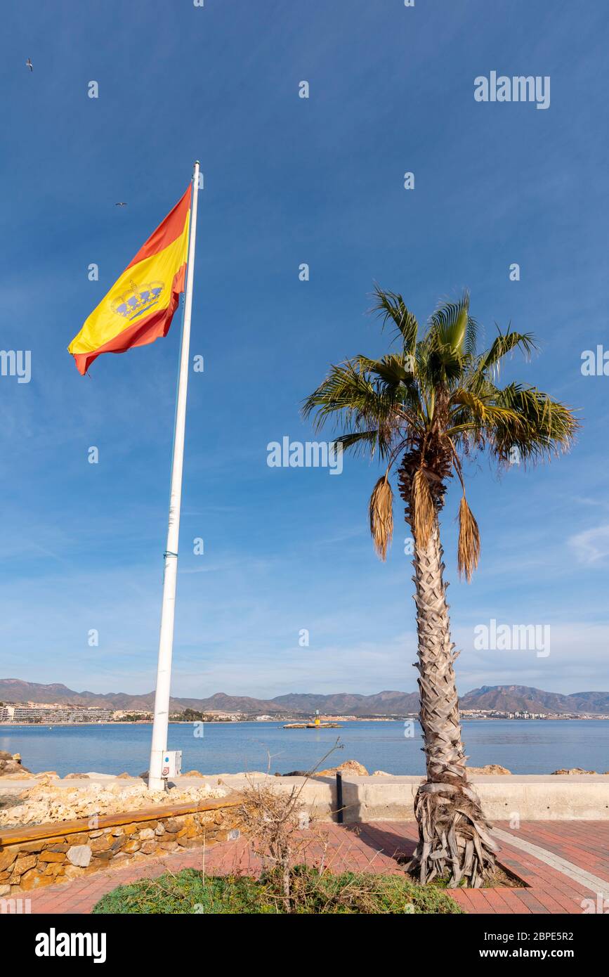 Drapeau espagnol à l'entrée de la marina à Puerto de Mazarron, région de Murcie, Costa Calida, Espagne. Palmier. Côte dans le ciel bleu sur la Méditerranée Banque D'Images