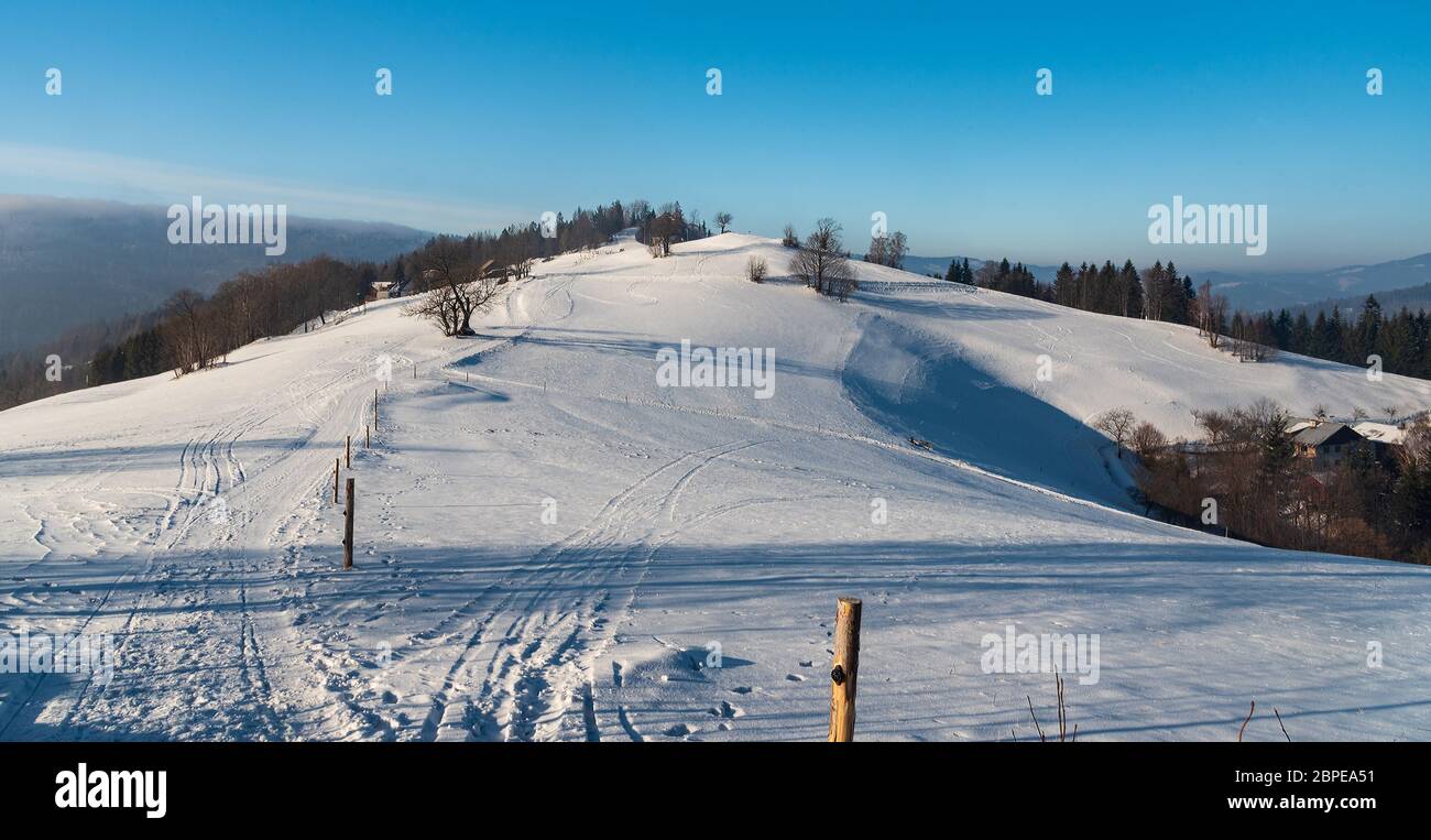 Colline de Cienkow Nizni avec route enneigée, prairies et arbres au-dessus de la station Wisla en hiver, montagnes de Beskid Slaski en Pologne Banque D'Images