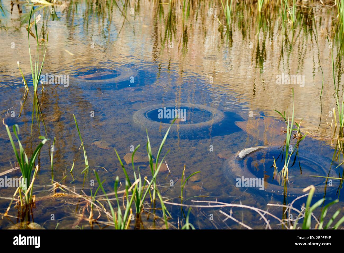 Pneus usagés dans l'eau. Pollution de l'environnement. Problème  environnemental Photo Stock - Alamy