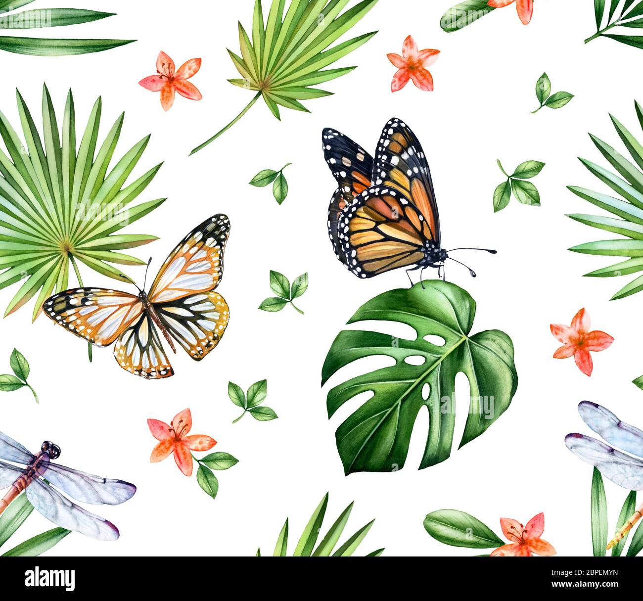 Motif tropical sans coutures aquarelle. Papillons monarques, libellules et feuilles de monstère isolées sur blanc. Petites fleurs d'orchidées. Floral botanique Banque D'Images