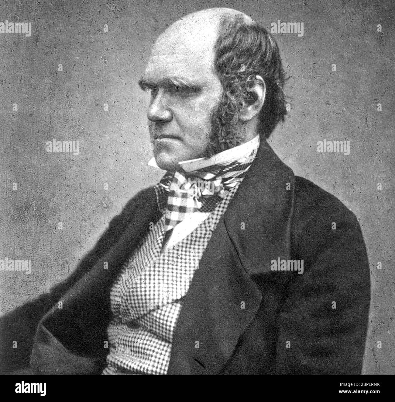 CHARLES DARWIN (1809-1882) naturaliste anglais vers 1854 Banque D'Images