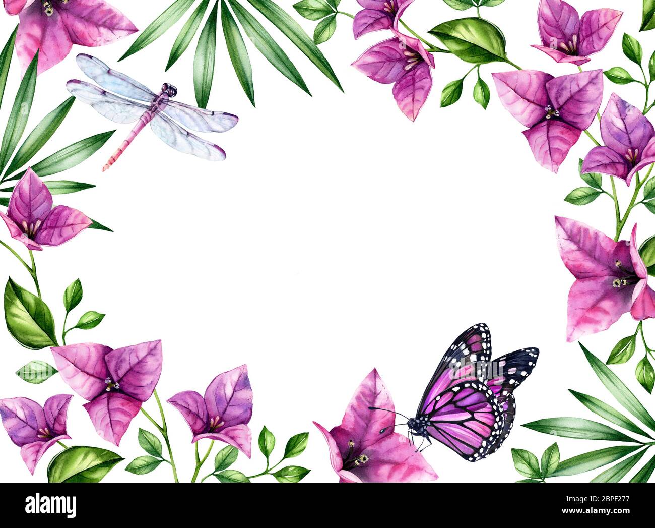 Fond floral aquarelle. Bougainvilliers avec papillon et libellule. Bannière tropicale fleurie peinte à la main avec un emplacement pour le texte. Botanique Banque D'Images