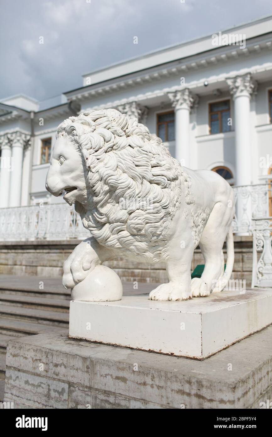 Sculpture Lion Palais Yelagin St. Banque D'Images
