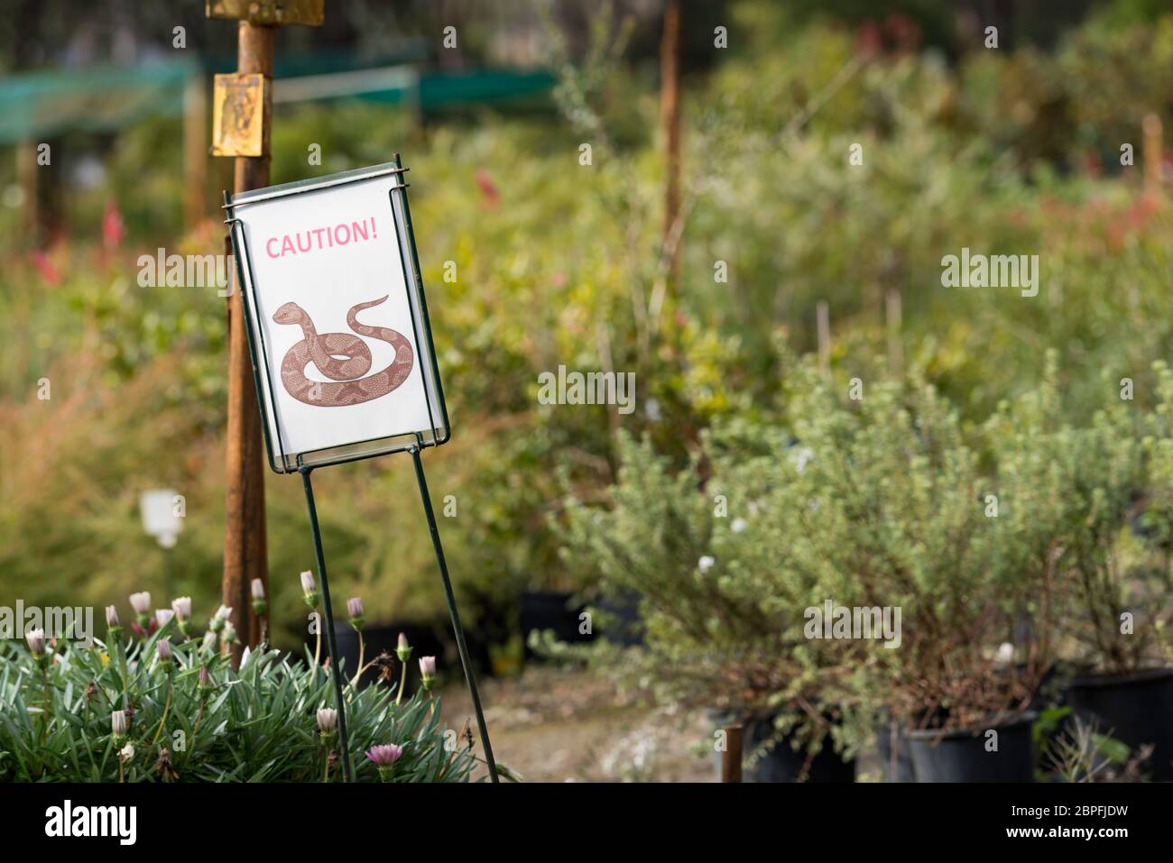 Un panneau d'avertissement de serpent à une pépinière de Sydney, en Australie. Cette pépinière est proche du Bush et les serpents locaux ne remarquent pas de clôtures. Banque D'Images