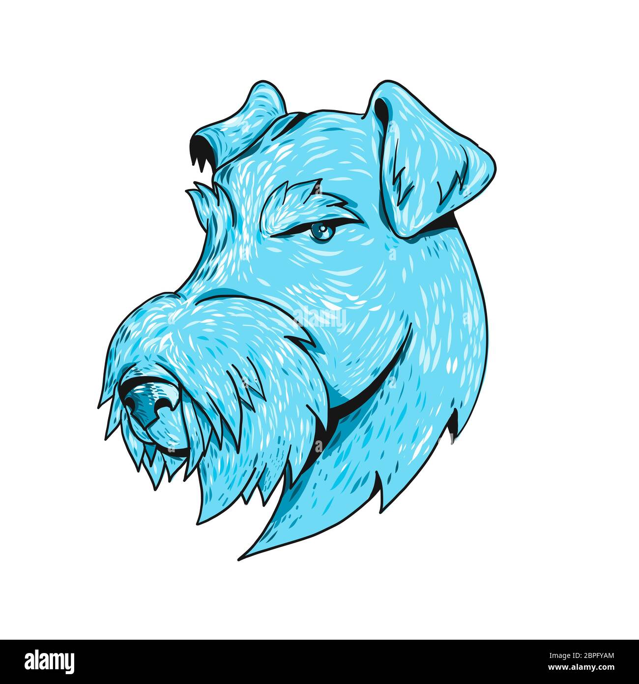 Croquis dessin illustration style général d'un Airedale Terrier, Terrier ou Terrier au bord de Bingley, le plus grand de tous les terriers aussi connu sous le ÒKin Banque D'Images