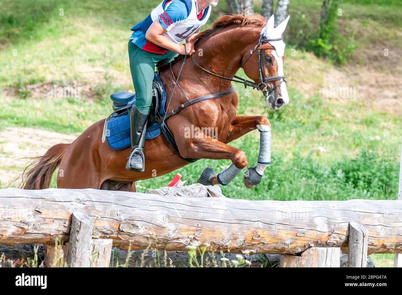 Evotant : un pilote équestre sautant sur un obstacle de clôture en rondins Banque D'Images