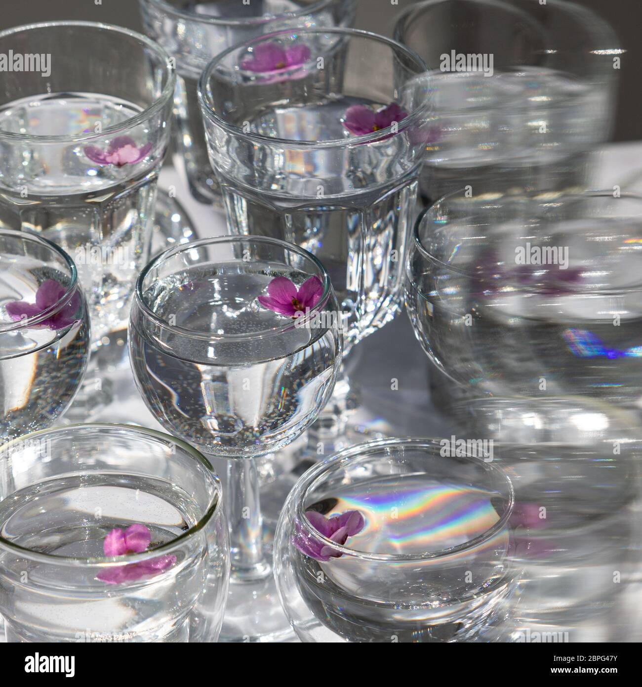 Vue de dessus de verres transparents et de lunettes de vin avec de l'eau et de petites fleurs violettes à l'intérieur, mise au point sélective. Lumière du soleil. Banque D'Images