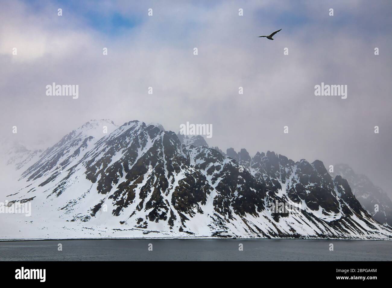 Paysage de montagne avec des sommets enneigés près de Spitzbergen, Svalbard, Norvège du Nord et vol d'oiseau en premier plan Banque D'Images