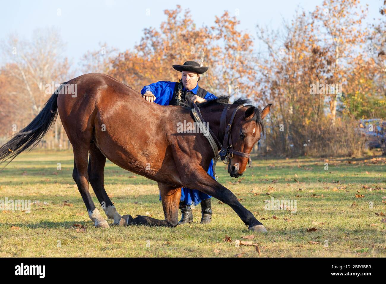 HORTOBAGY, HONGRIE, NOVEMBRE 04. 2018: Csikos hongrois en costume traditionnel folklorique montrant son cheval entraîné. Cheval-homme traditionnel de Hung Banque D'Images