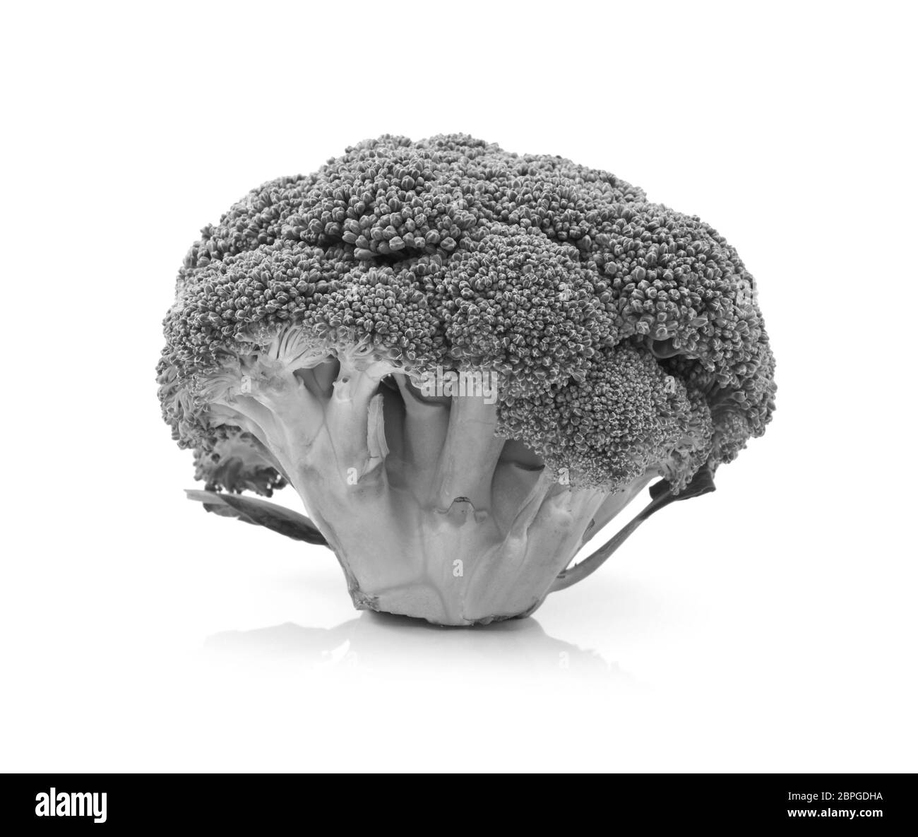 Tête de calabrese brocoli frais debout voir les fleurs et les tiges individuelles sur un fond blanc - le traitement monochrome Banque D'Images