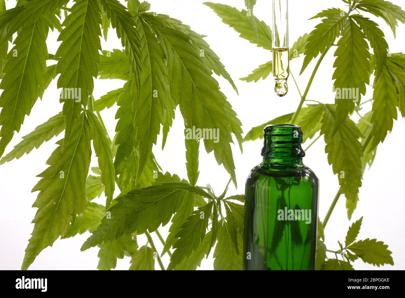 Huile de CBD, extrait de cannabis. Marijuana médicale, huile de chanvre en bouteille. Banque D'Images