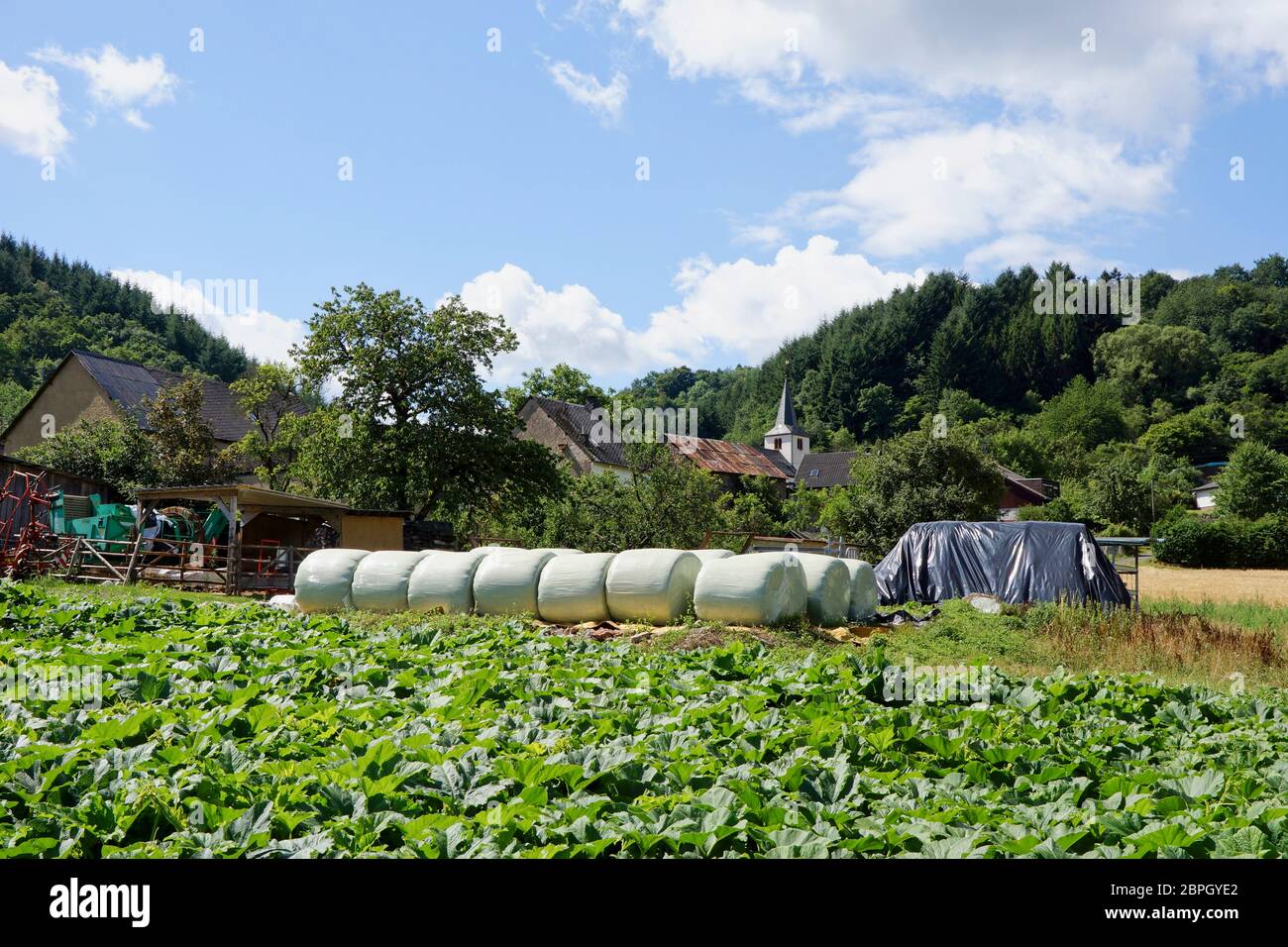 Meerfeld Allemagne - 29 juillet 2015 - vue sur le village de Meerfeld Manderscheid dans l'Eifel Allemagne Banque D'Images