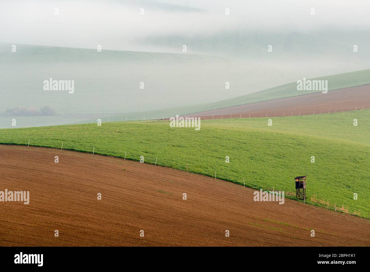 Observation de chasse dans un paysage rural de la région de Turiec, Slovaquie. Banque D'Images