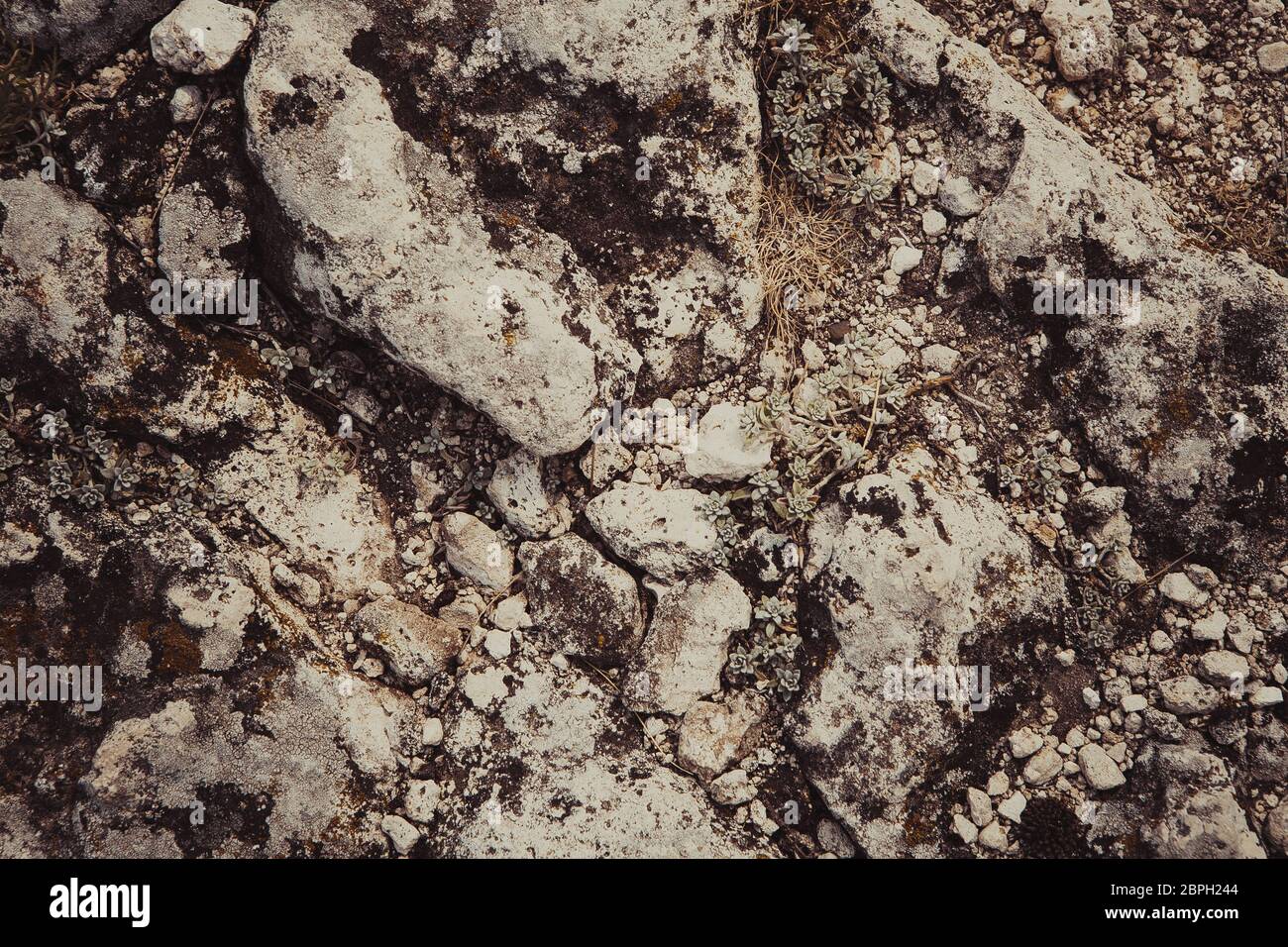 La texture de pierre détaillées sombre brûlés close up. Banque D'Images