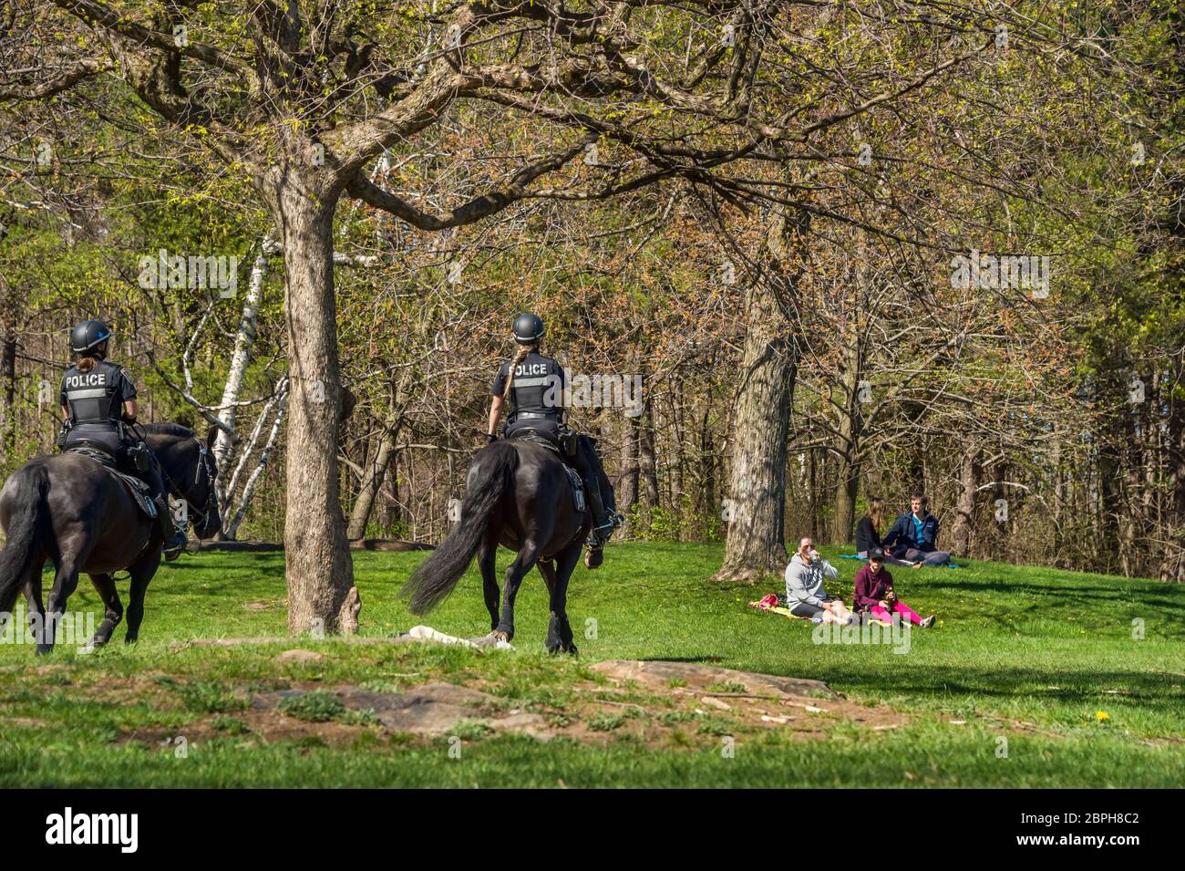 Montréal, Canada - 16 mai 2020 : la police montée patrouille les parcs publics pour faire appliquer les lois de distancement physique du coronavirus dans le parc du Mont-Royal Banque D'Images