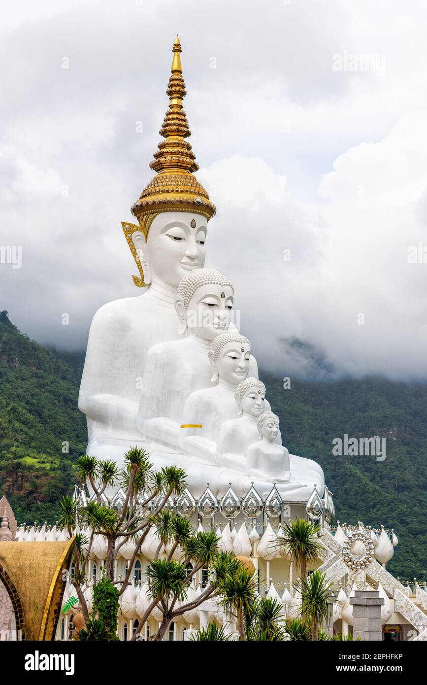 Statue de Bouddha a large white mountain sur cinq corps entouré par la nature avec brouillard nuages couvrir au Wat Phra That Pha Kaew Sorn Temple est un'attra Banque D'Images