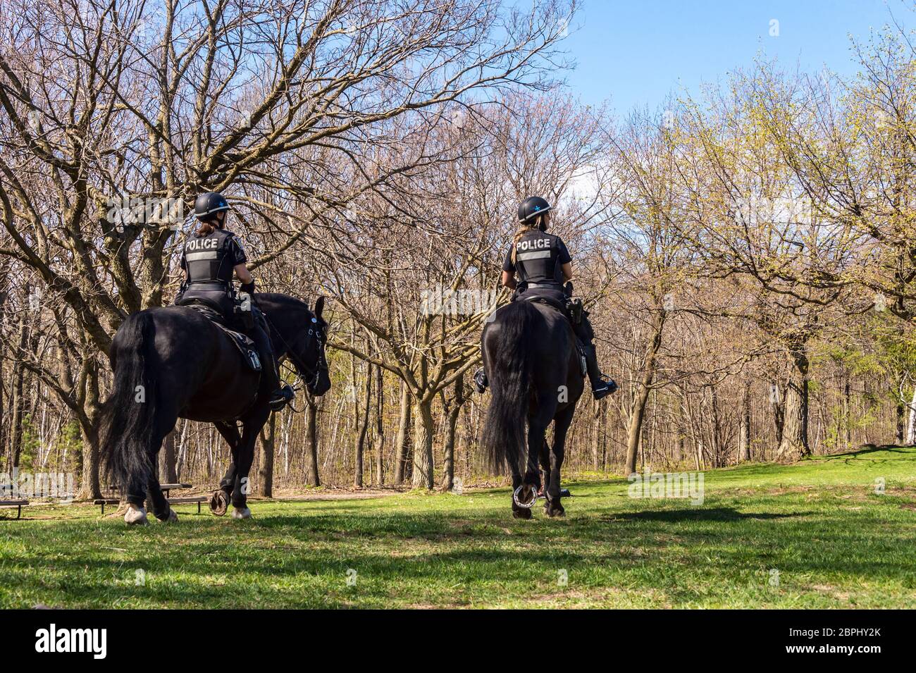 Montréal, CA - 18 mai 2020 : la police montée à cheval dans le parc du Mont-Royal Banque D'Images