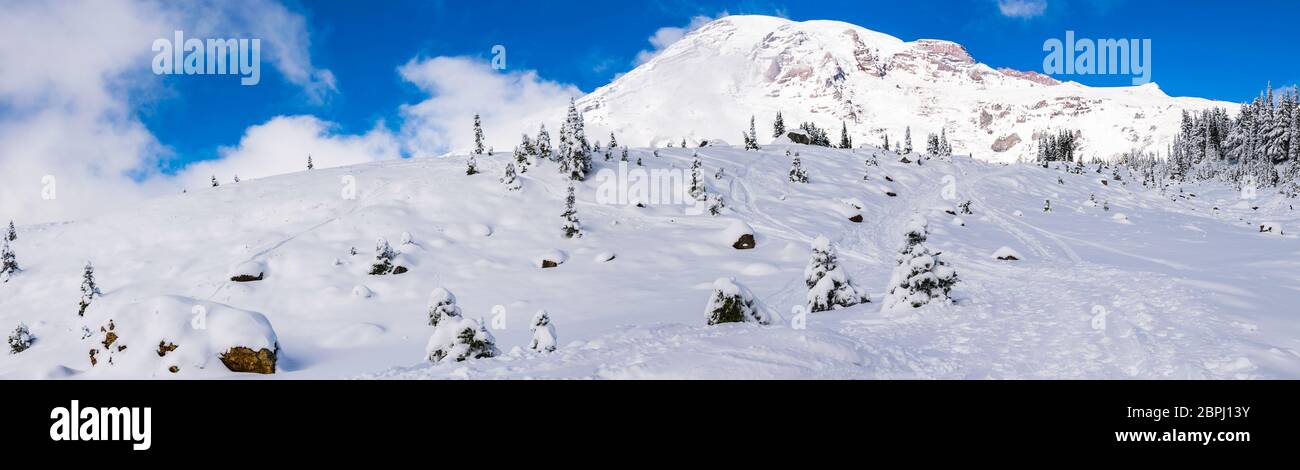 Couverture de sentier avec neige dans le paradis, vue panoramique sur le parc national de mt Rainier, Washington, USA. Banque D'Images