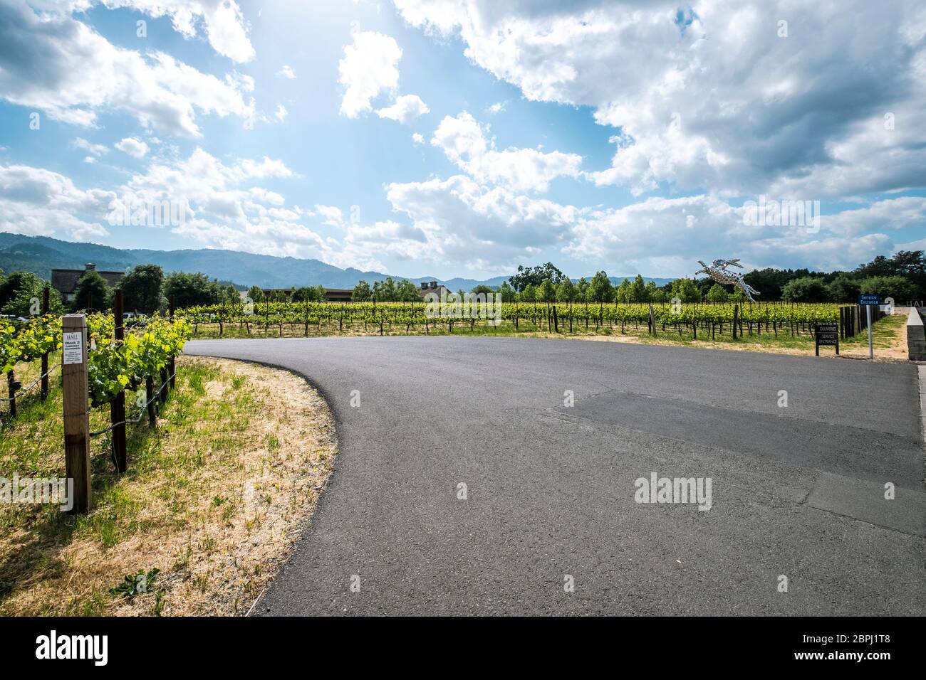 HALL Wines St. Helena Napa Valley, Californie. Banque D'Images