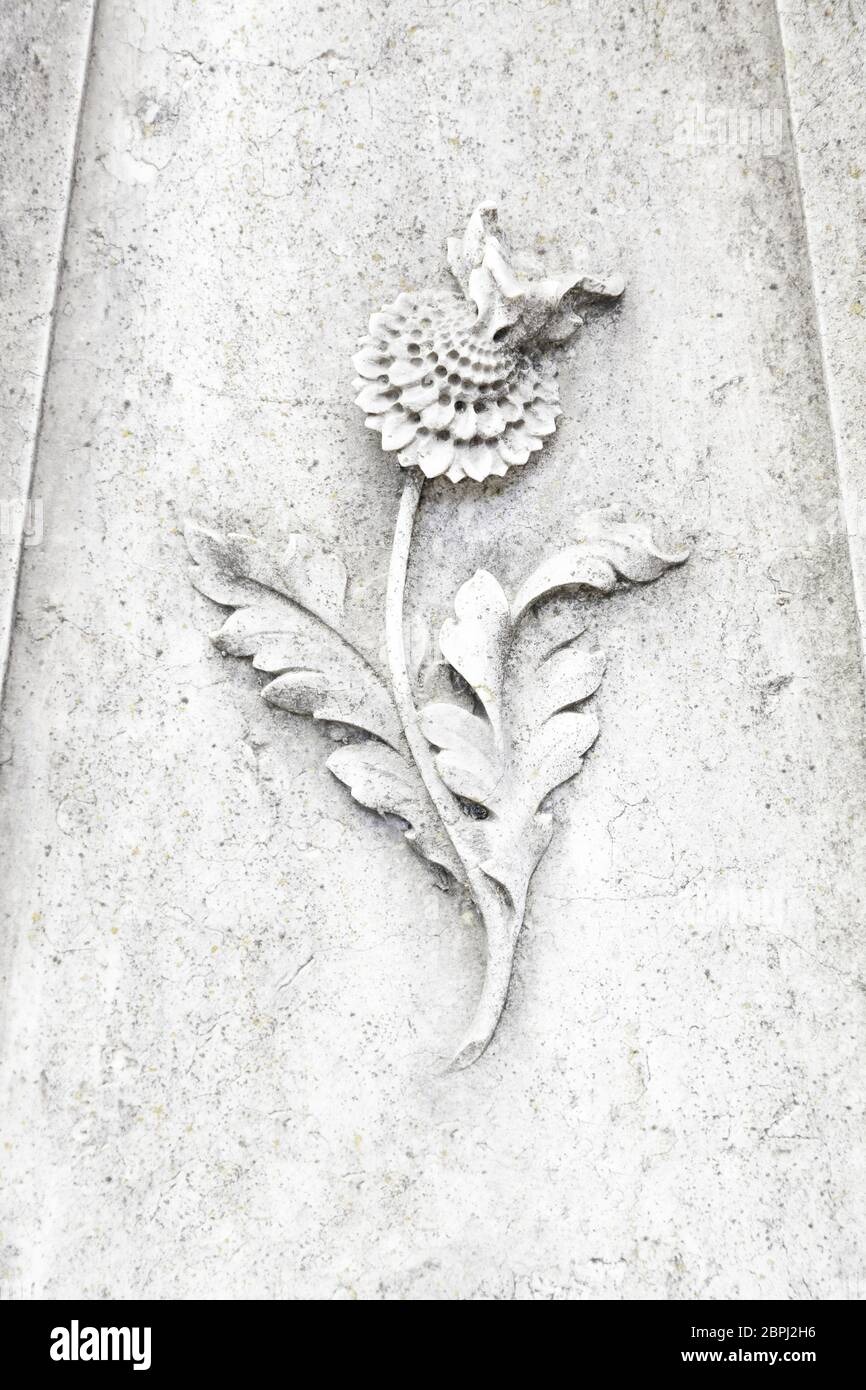 Fleurs anciennes gravées dans la pierre, détail sculpté d'une fleur, d'art en pierre Banque D'Images