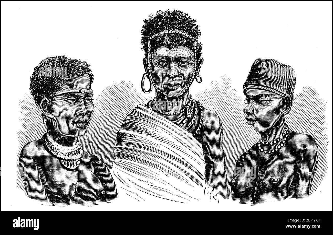 Femmes, types d'Afrique du Sud, africaines, femme du Bush et femmes Hottentot au 19ème siècle / Frauen, Typen aus Südafrika, Kaffernmädchen, Buschfrau und Hottentottin, Frauen im 19. Jahrhundt, Historisch, historique, numérique reproduction améliorée d'un original du 19ème siècle / digitale Reproduktion einer Originalvorlage aus dem 19. Jahrhundert Banque D'Images