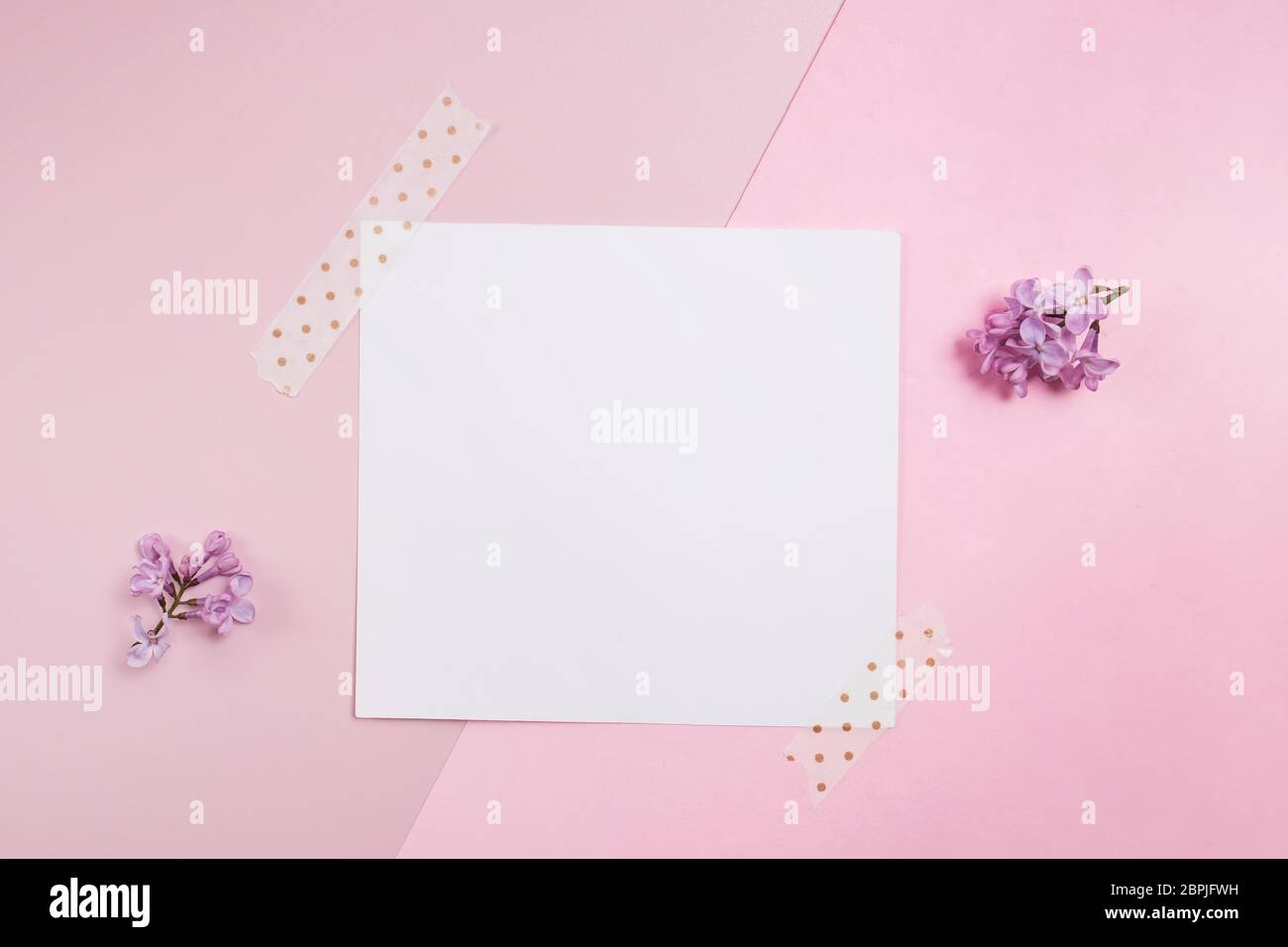 Carte vide sur fond rose avec petites fleurs lilas Banque D'Images
