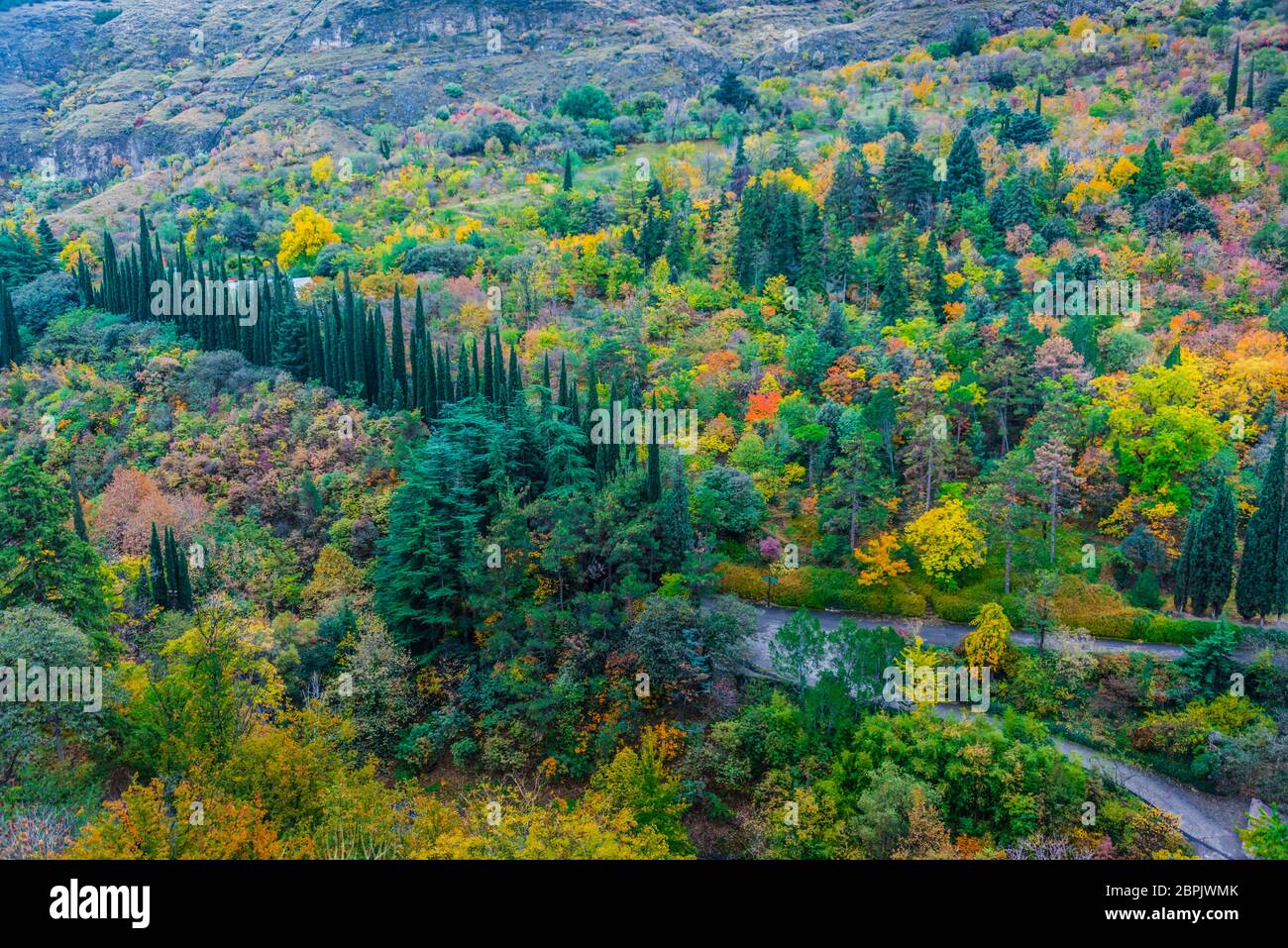 Vue sur le jardin botanique de Tblilisi, Géorgie. Banque D'Images