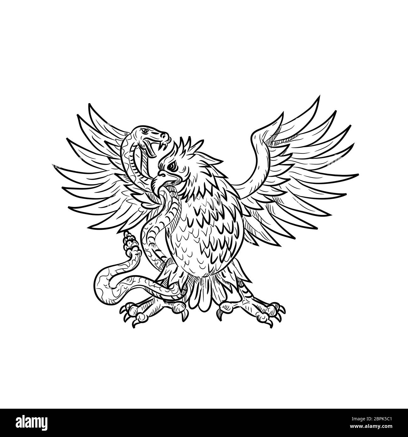Style croquis dessin illustration d'un Mexican Eagle, l'aigle royal ou du nord caracara huppé combattant un serpent à sonnette, Viper, snake ou serpent à bla Banque D'Images