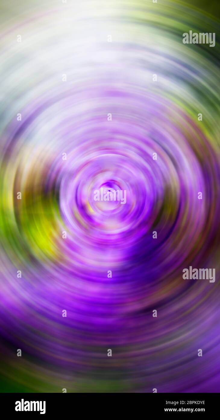 Image d'arrière-plan manipulée numériquement avec flou radial, tons violet et vert vifs avec nuances de lumière et point focal central. Banque D'Images