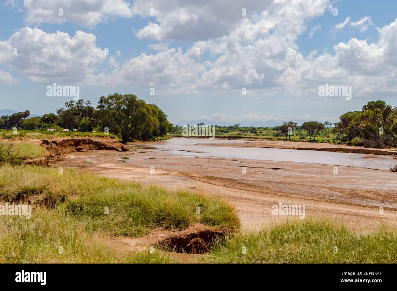 Vue de l'Ewaso Ng'iro River dans la savane du Parc de Samburu dans le centre du Kenya Banque D'Images