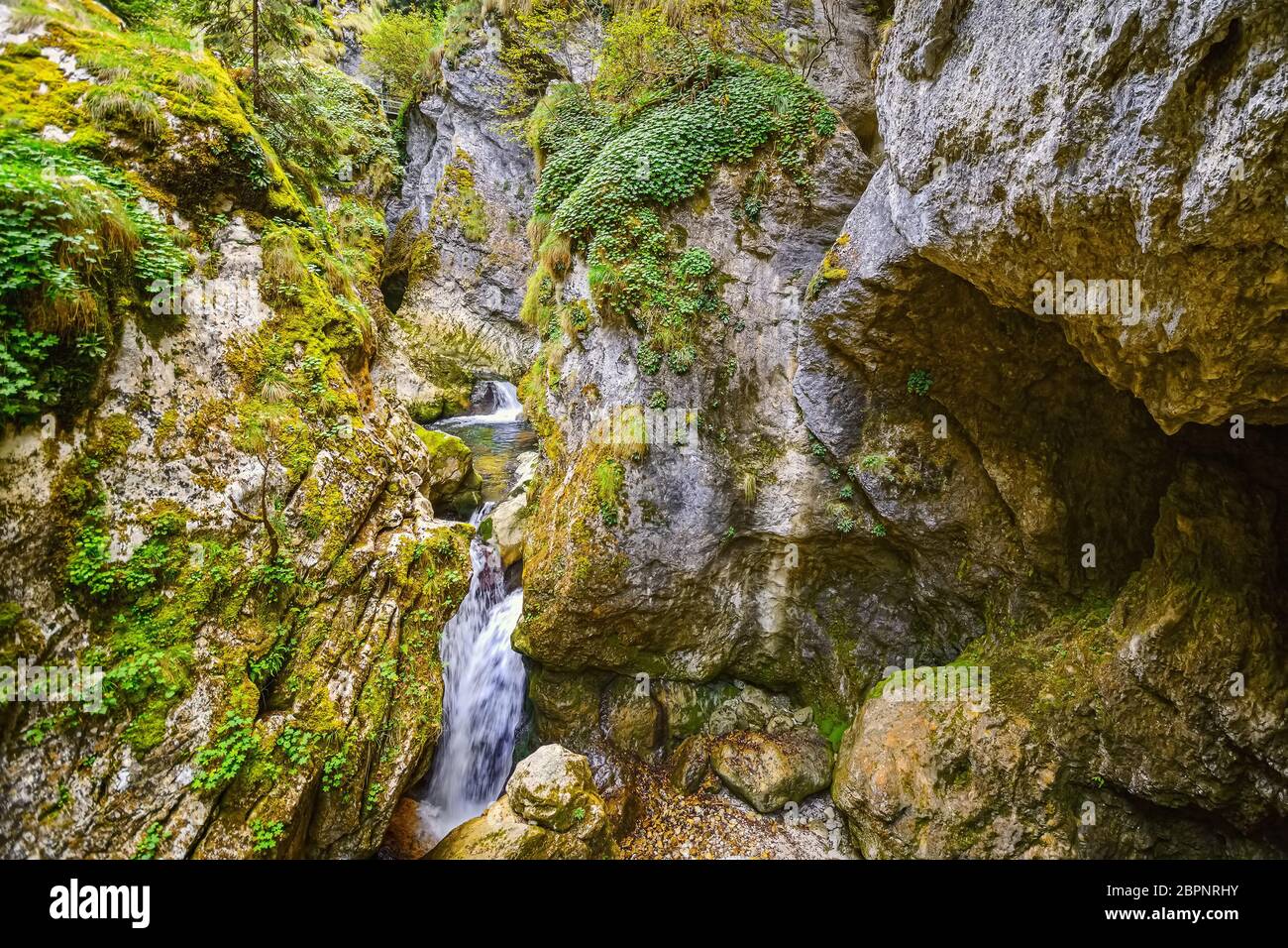 Rivière montagneuse dans la gorge de Trigrad, montagnes Rhodope dans le sud de la Bulgarie Banque D'Images