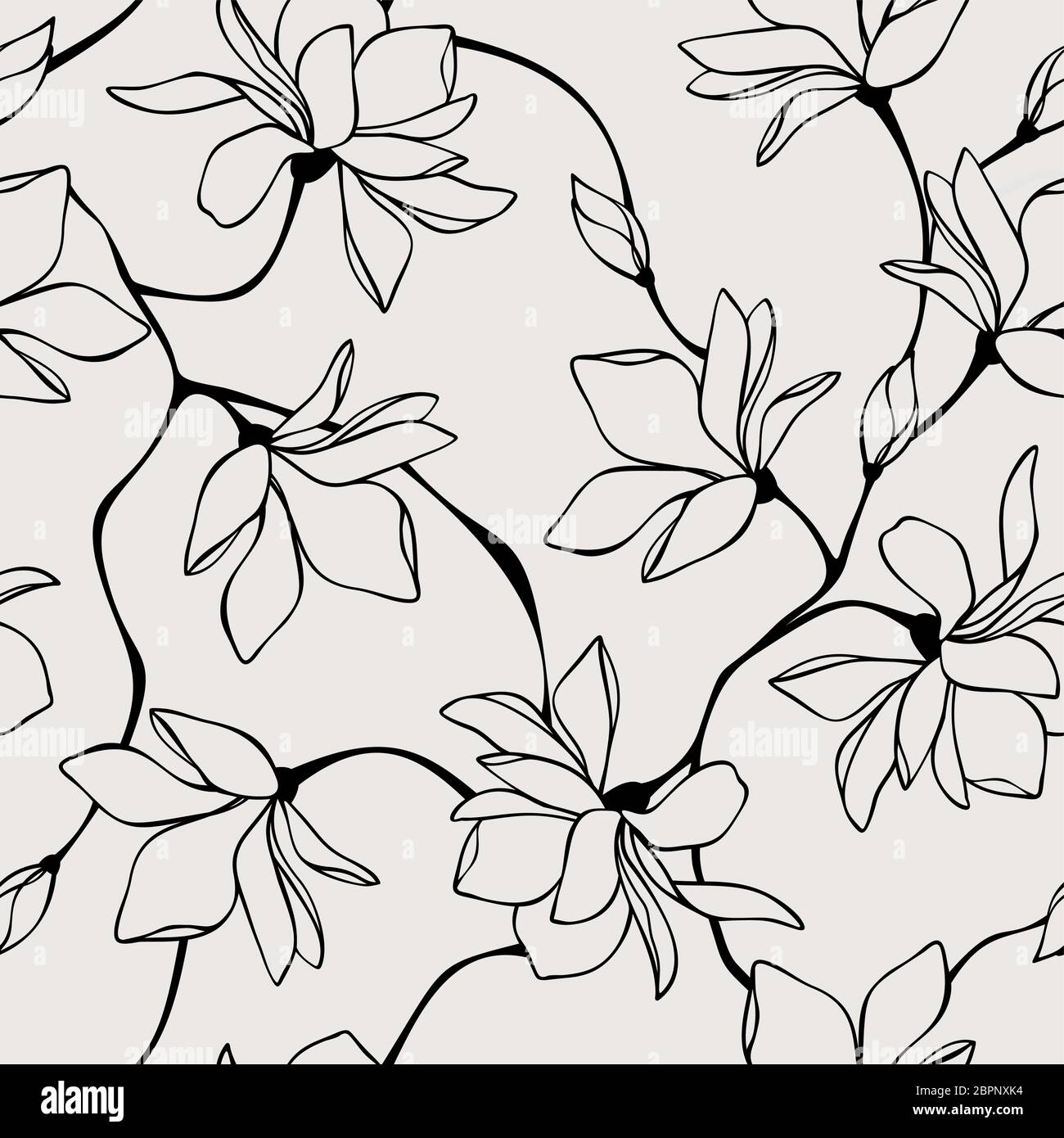 Motif floral vectoriel sans couture avec fleurs magnolia. Illustration de dessin au trait. Illustration de Vecteur
